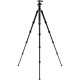 Алюмінієвий штатив Benro (KIT) FTR19AB0GBLK